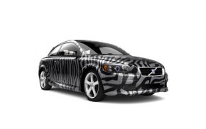 c30-zebra.jpg c30-zebra.jpg